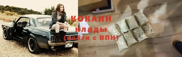 ГАЛЛЮЦИНОГЕННЫЕ ГРИБЫ Абаза