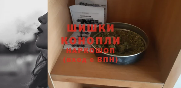 ГАЛЛЮЦИНОГЕННЫЕ ГРИБЫ Абаза