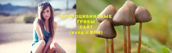 гидропоника Абдулино
