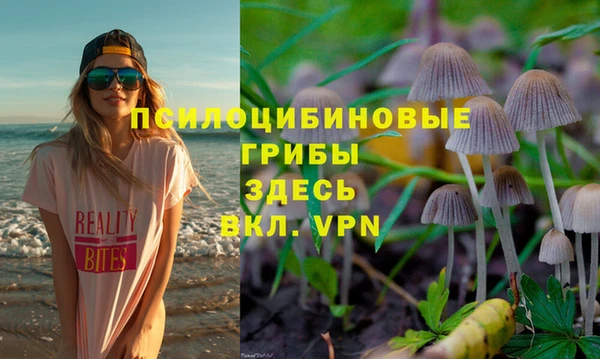 гидропоника Абдулино