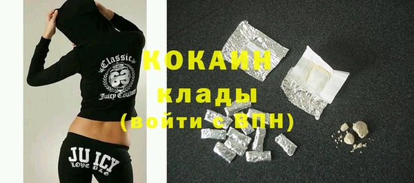 ГАЛЛЮЦИНОГЕННЫЕ ГРИБЫ Абаза