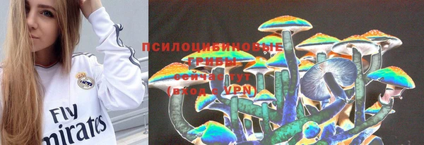 ГАЛЛЮЦИНОГЕННЫЕ ГРИБЫ Абаза