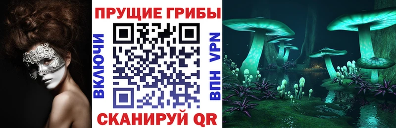 Псилоцибиновые грибы GOLDEN TEACHER  сколько стоит  omg ТОР  Чекалин 