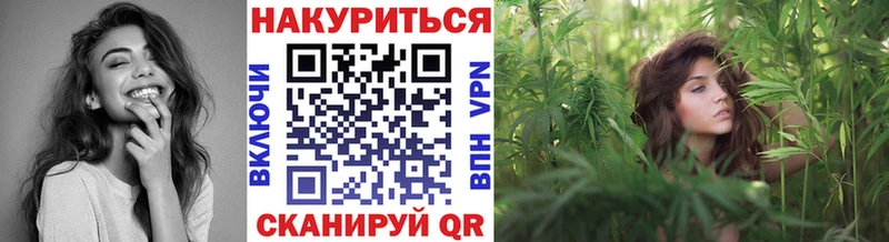 блэк спрут ONION  Чекалин  Бошки Шишки семена  что такое наркотик 